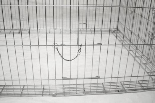 Freigehege Kaninchen - Freilaufgehege mit Ausbruchsperre für Nager, komplett geschlossen